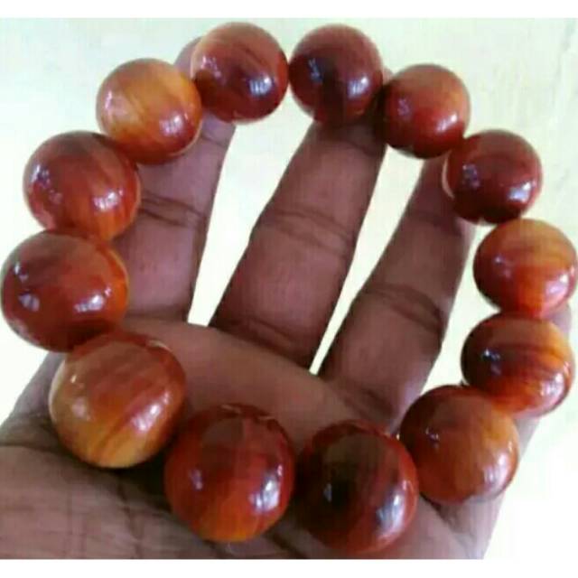 Jual Gelang Super Kayu Agathis KAYU RAJA TEMBUS 18 Mm Shopee Indonesia