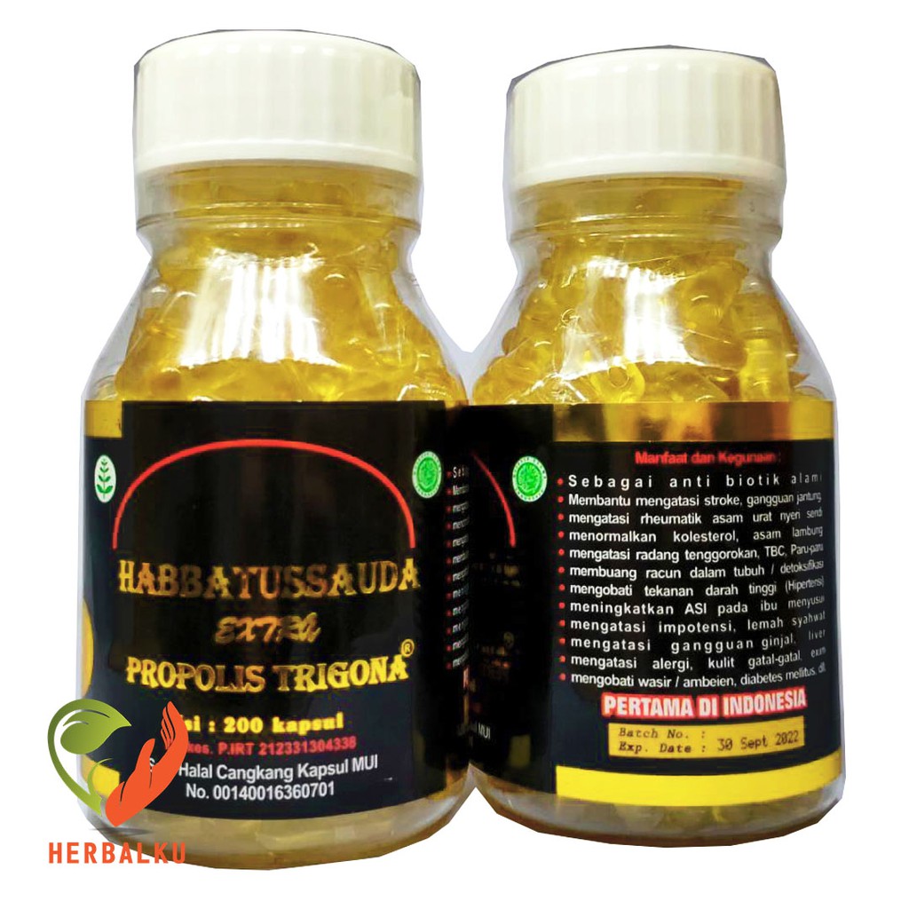 Jual Habbatussauda Extra Propolis Trigona Kapsul Ums Habatussauda