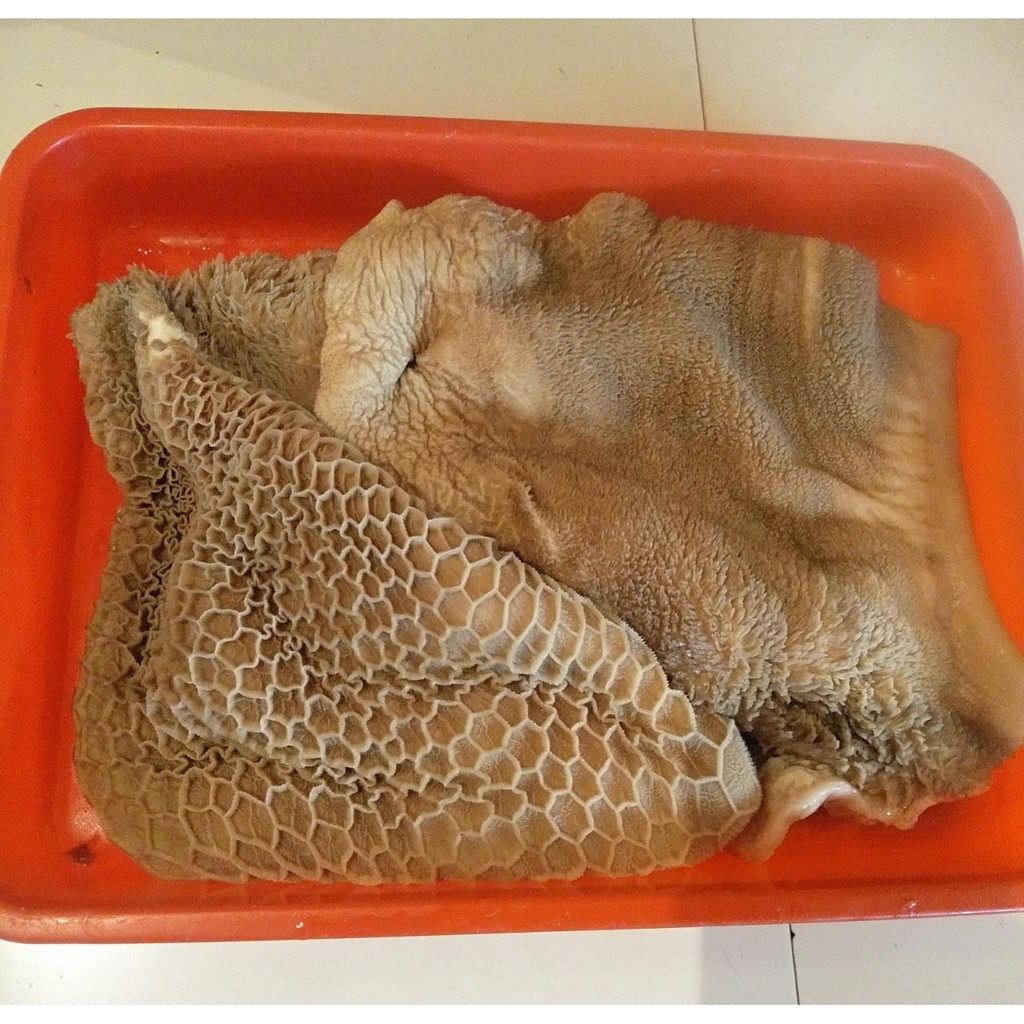 Jual Babat Sapi 1 KG Shopee Indonesia