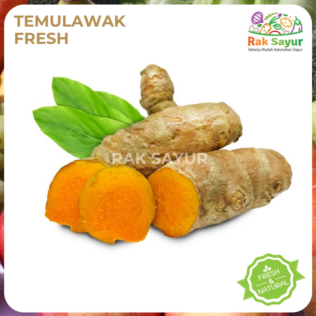 Jual Temulawak Segar Fresh Kg Rempah Bumbu Makanan Dapur Herbal Rak