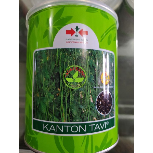 Jual BENIH KACANG PANJANG KANTON TAVI ISI 500GR Shopee Indonesia