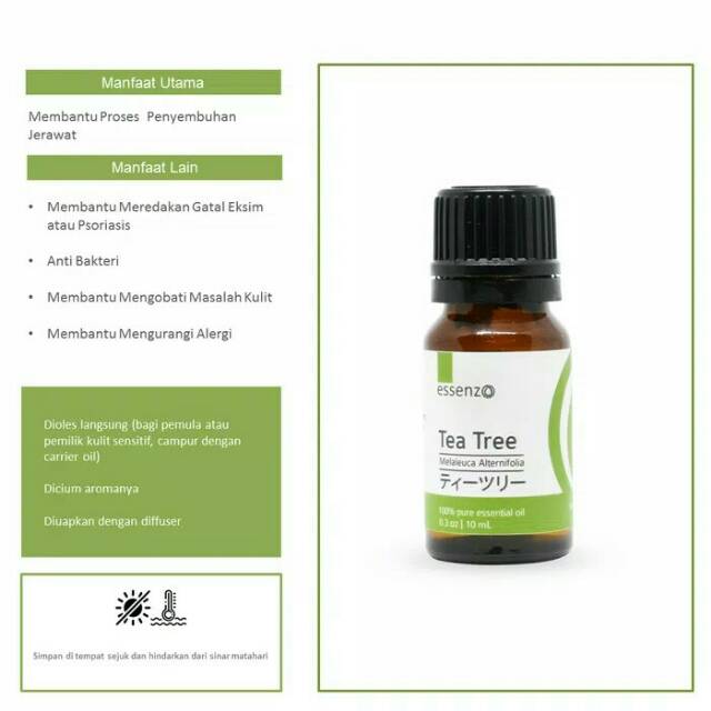 Jual Tea Tree Essential Oil Ml Dan Ml Solusi Jerawat Shopee