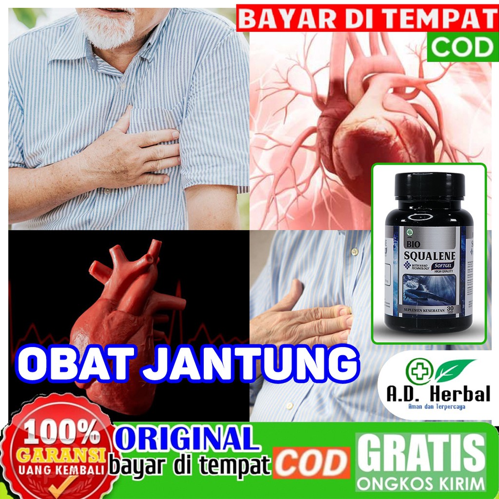 Jual Obat Jantung Herbal Jantung Koroner Jantung Bengkak