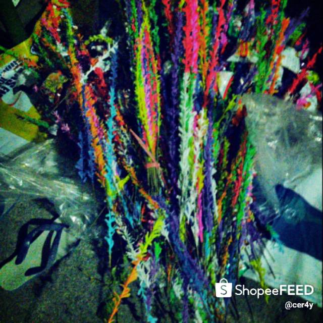 Jual Kembang Manggar Shopee Indonesia