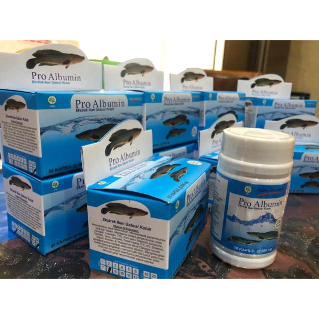 Jual Ekstrak Ikan Gabus PRO ALBUMIN Ash Shihhah KAPSUL Shopee Indonesia