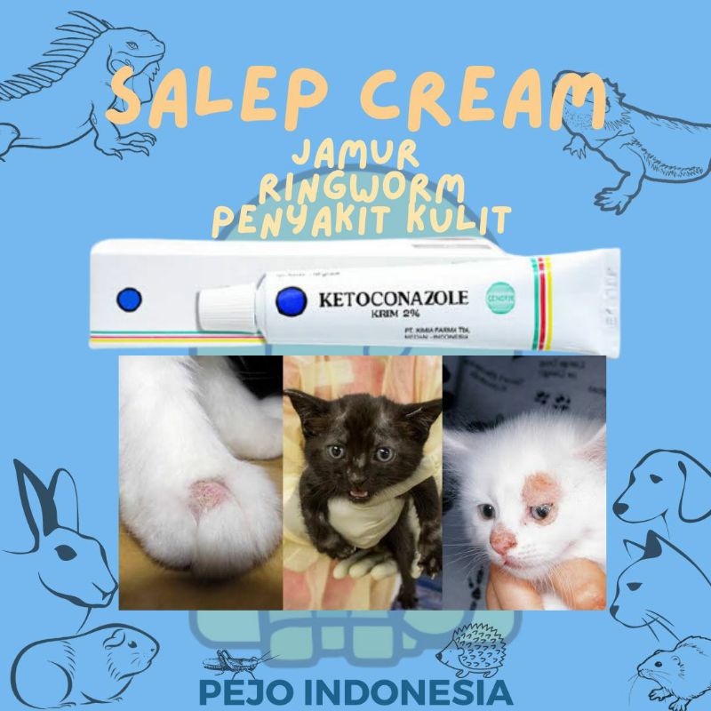 Jual Salep Krim Obat Penyakit Kulit Gatal Infeksi Jamur Ringworm Kucing