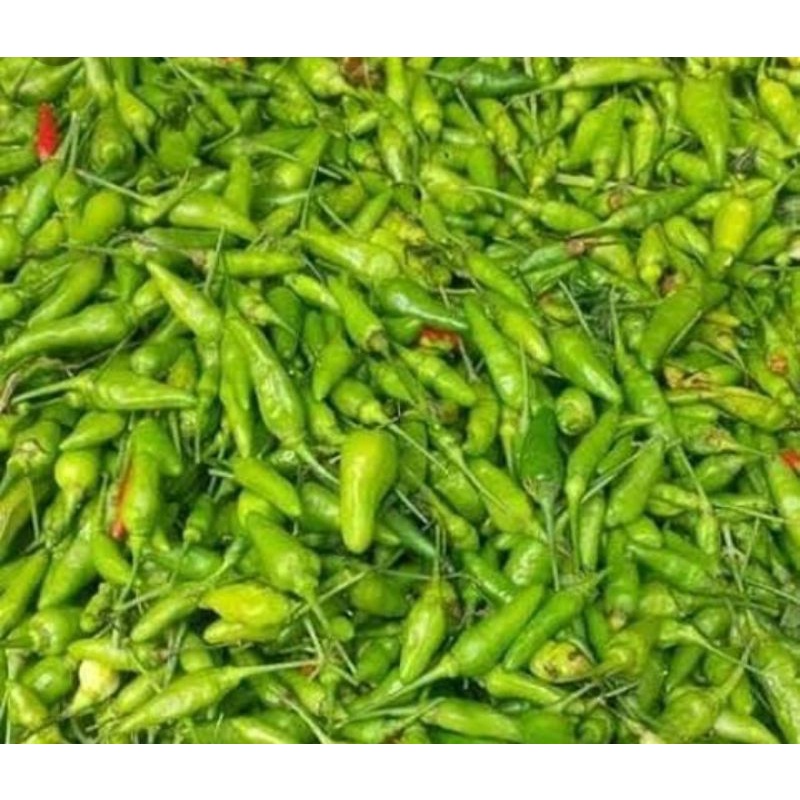 Jual Cabe Rawit Asli Cuko Per Gr Sayur Segar Palembnag Shopee