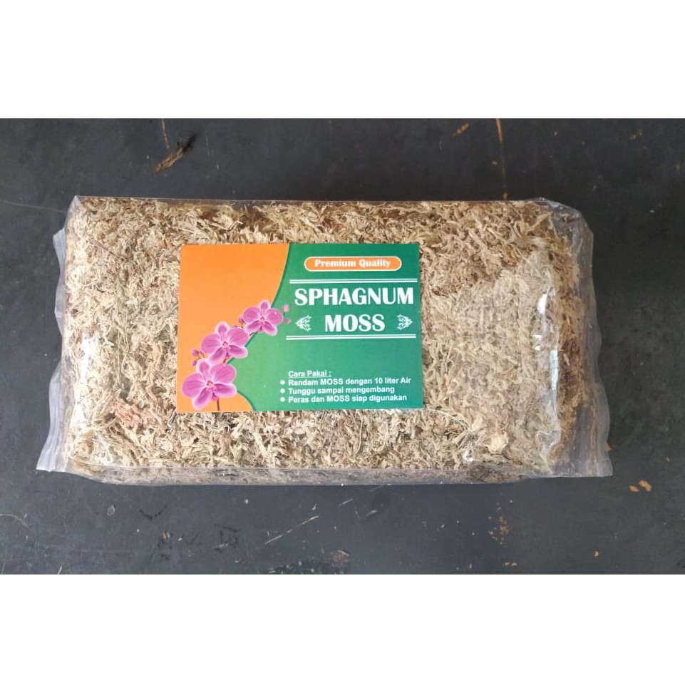 Jual Media Tanam Anggrek Spagnum Moss Putih Premium Chili Gr