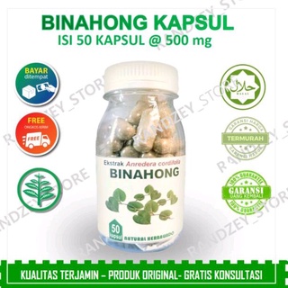 Jual Kapsul Binahong Obat Luka Dalam Paska Operasi Jamu Herbal Rematik