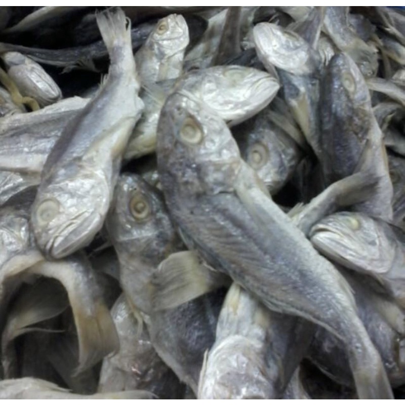 Jual Ikan Asin Kepala Batu Gulama Termurah 500gram Shopee Indonesia