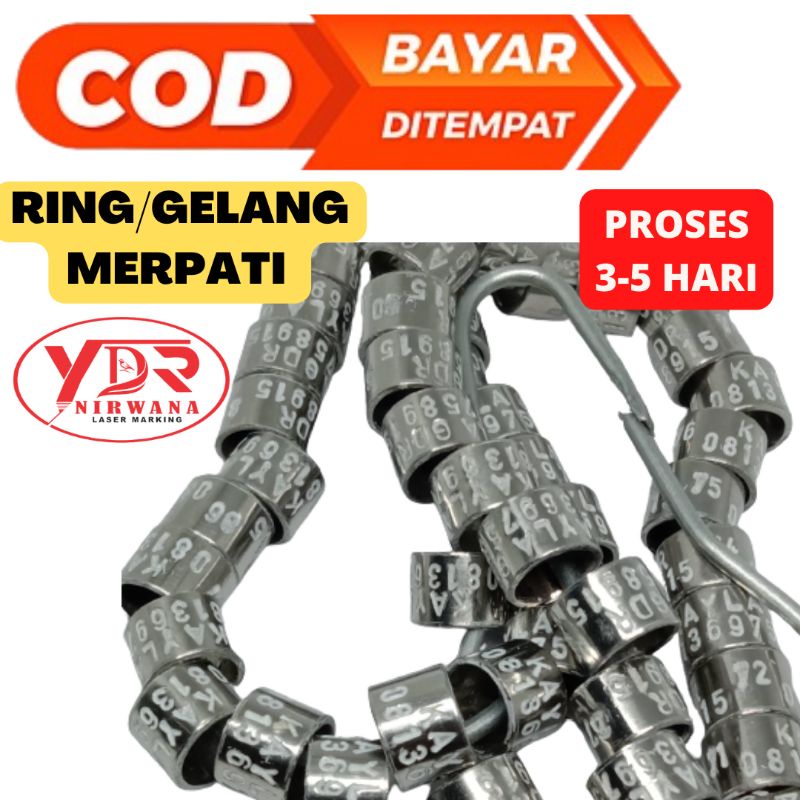 Jual RING MERPATI BAJA KETROK STANDAR Shopee Indonesia