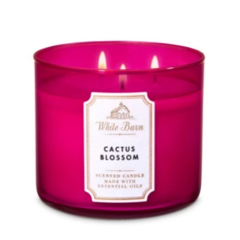 Jual BBW 3 WICK CANDLE CACTUS BLOSSOM Shopee Indonesia