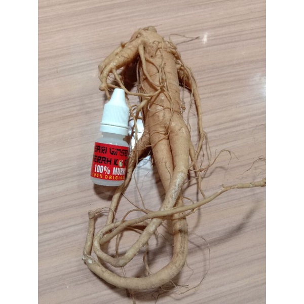 Jual Vitamin Burung Kicau Ocehan Sari Ginseng Merah Korea Murni Ml