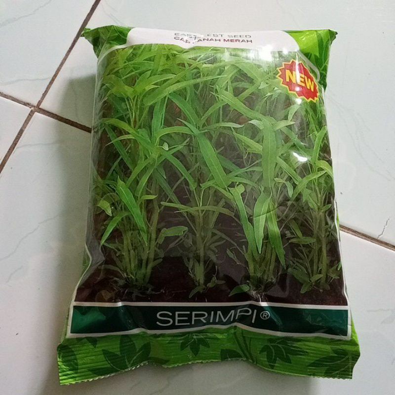 Jual BENIH KANGKUNG SERIMPI 1 KG Shopee Indonesia