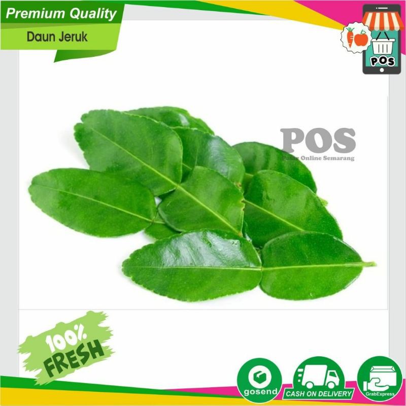 Jual Daun Jeruk Daun Jeruk Purut Sayur Sayuran Segar Fresh Murah