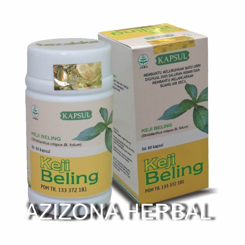 Jual Keji Beling Obat Herbal Batu Ginjal Indonesia Shopee Indonesia