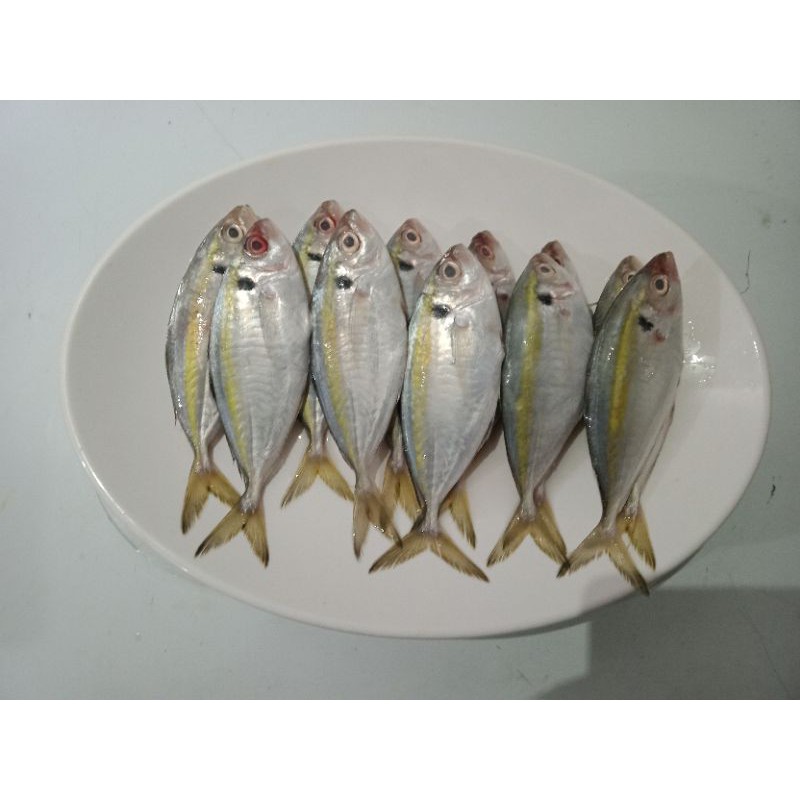 Jual Ikan Selar Segar Ikan Laut Fresh Shopee Indonesia