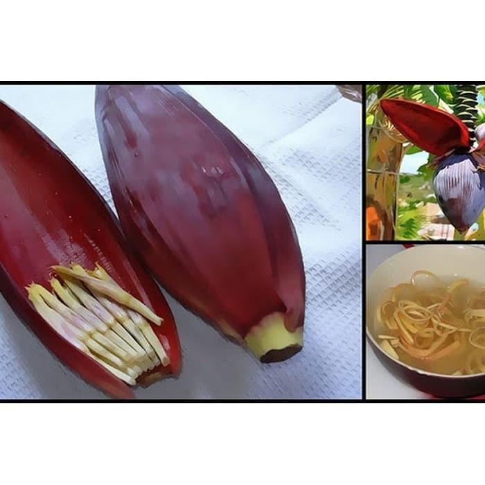 Jual Kuntum Bunga Jantung Pisang Batu Siam Kepok Musa Klutuk Shopee