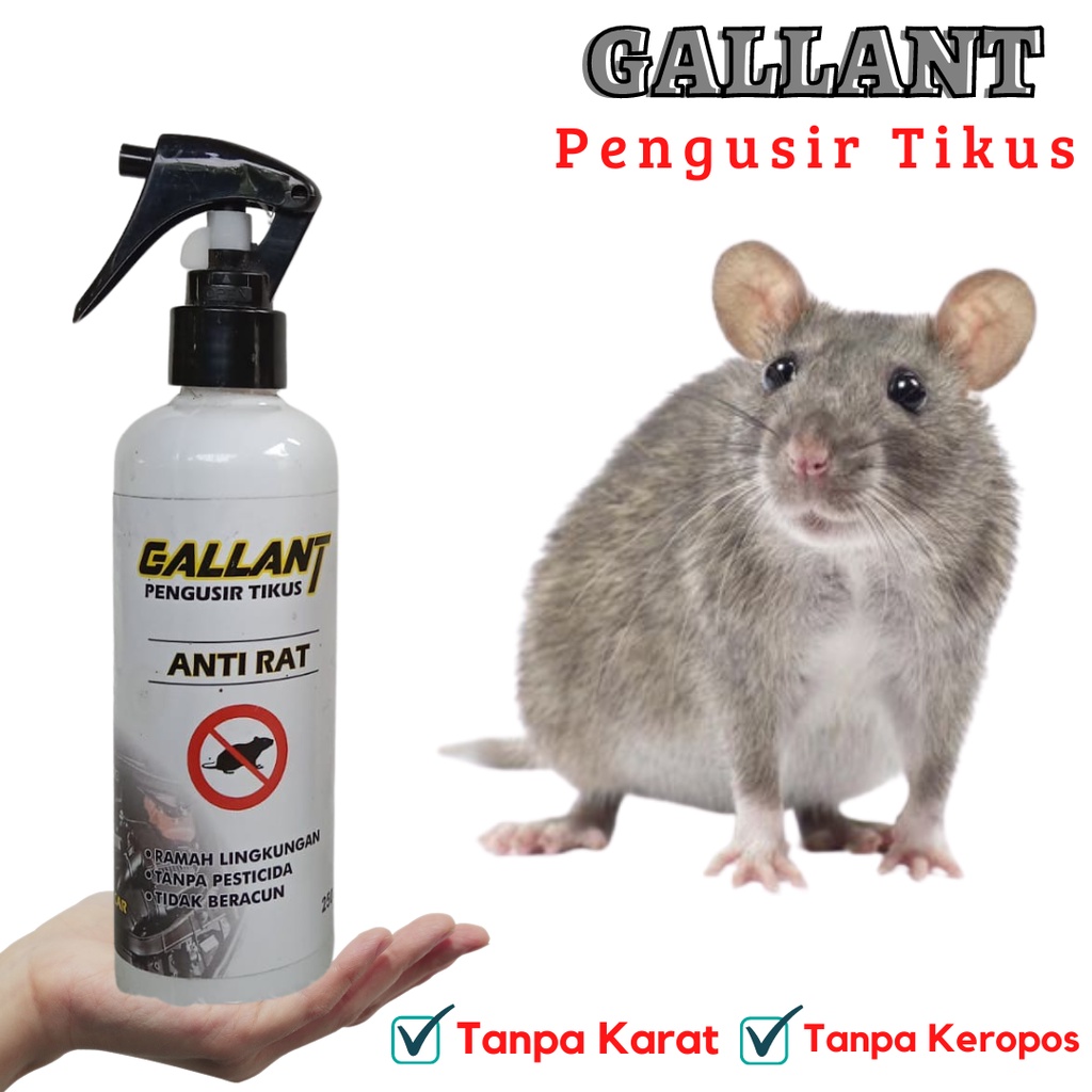 Jual Pengusir Tikus Gallant Anti Rat Spray 250 Ml Shopee Indonesia