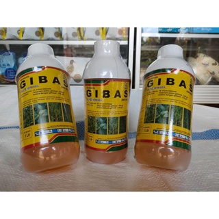 Jual Herbisida Sistemik Ml Gibas Sl Obat Pembasmi Rumput Liar