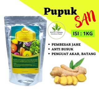 Jual Pupuk Pembesar Jahe Anti Layu Bakteri Pupuk San Starkit Gr