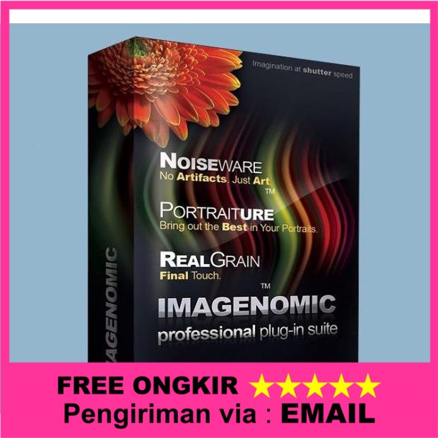 Jual Imagenomic Portraiture Versi Pro Aplikasi Portrait Plugin