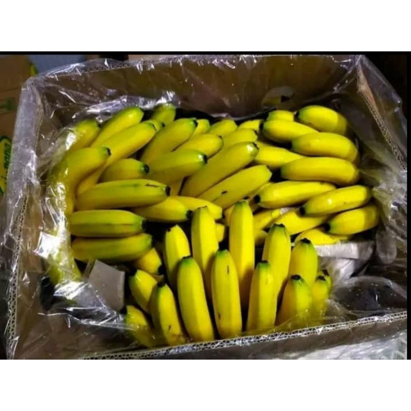 Jual Pisang Cavendish Shopee Indonesia