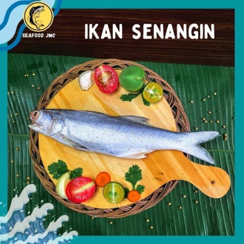 Jual Ikan Senangin SEGAR BERGIZI Pack Shopee Indonesia