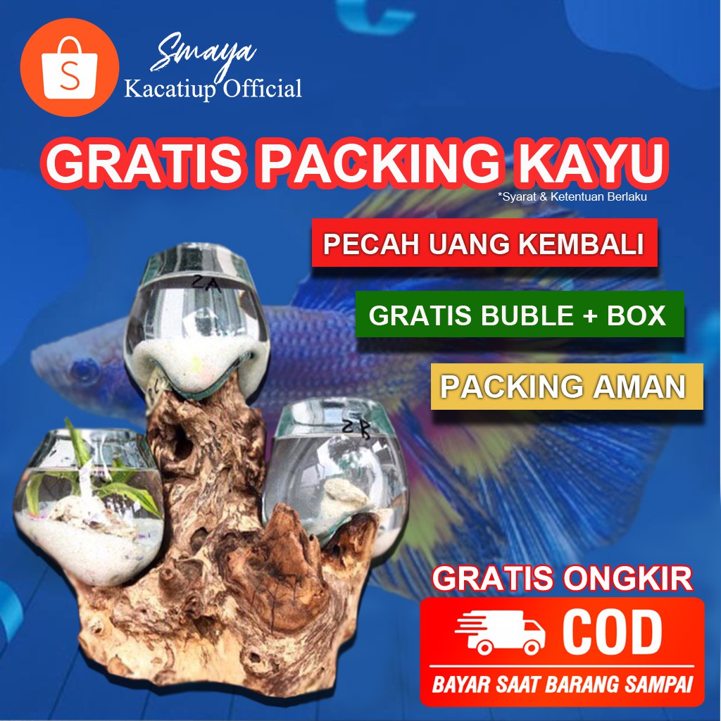 Jual AQUARIUM CUPANG AQUARIUM IKAN HIAS MINI AKURIUM CUPANG