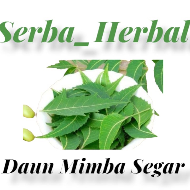 Jual Daun Mimba Segar Grm Daun Mimba Shopee Indonesia