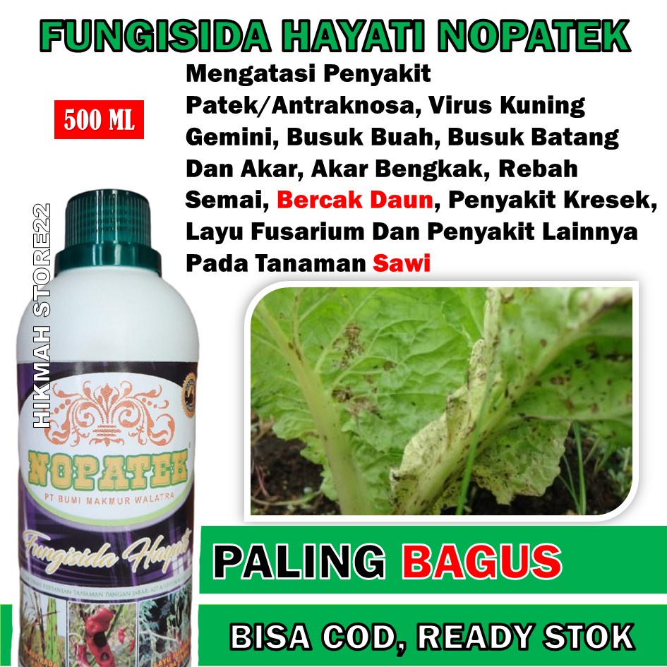 Jual Terlaris Fungisida Nopatek Atasi Penyakit Patek Antraknosa Virus