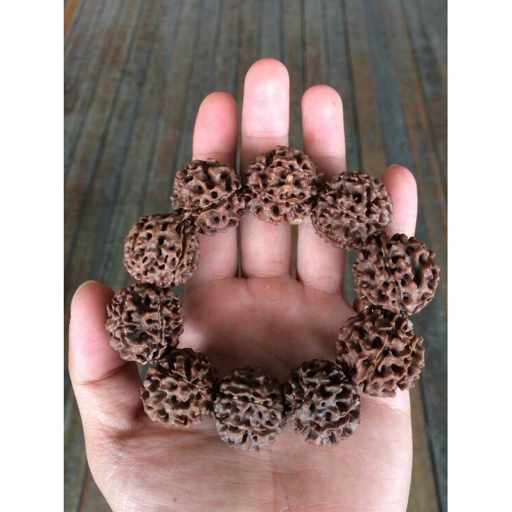 Jual Gelang Rudraksha Jenitri Garis Biji Bodhi Fashion Pria