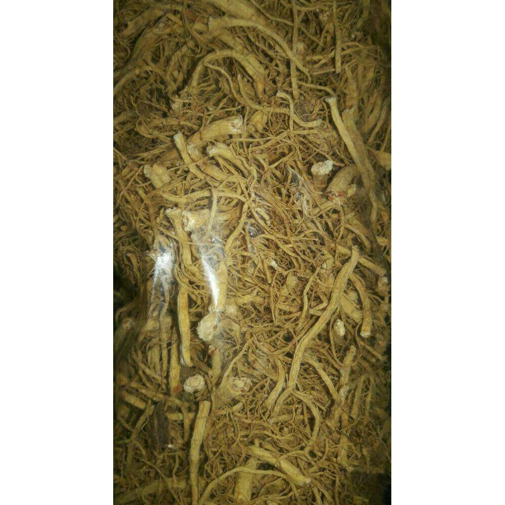 Jual Akar Ginseng 100gr 100 Gr Gram Ready Stok Shopee Indonesia