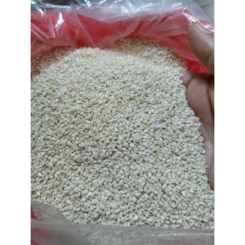 Jual Biji Wijen Biji Wijen Putih Bagus 100 Gr Indonesia Shopee Indonesia