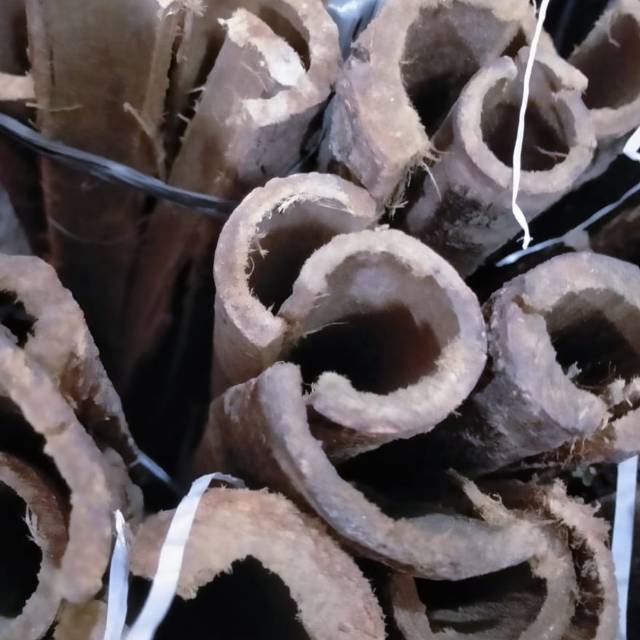 Jual Kulit Kayu Raru 1kg Shopee Indonesia