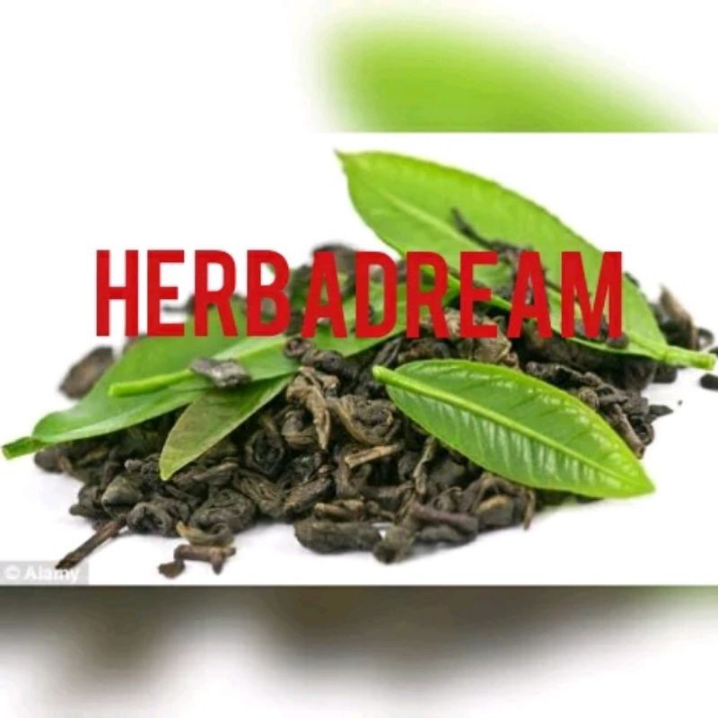 Jual Teh Hijau Ijo Lokal Camellia Sinensis Local Green Tea Hanzi