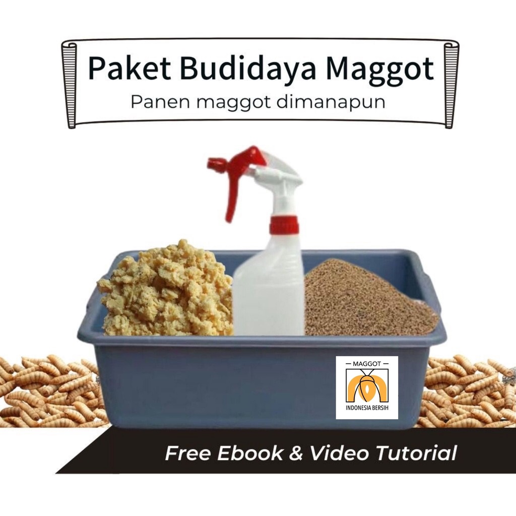 Jual Paket Budidaya Maggot Pengolahan Sampah Organik Rumahan Eceran