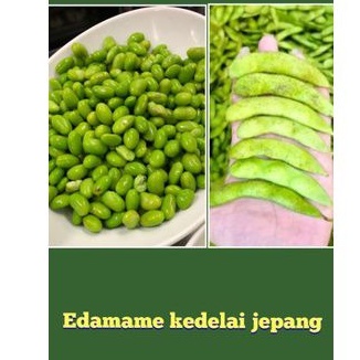 Jual Edamame Kedelai Jepang Edamame Hijau Edamame Kedelai Edamame