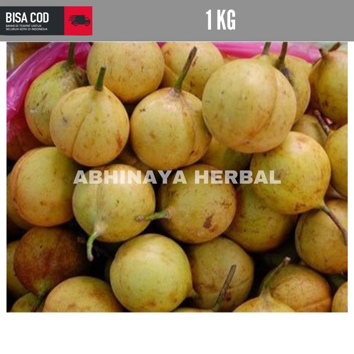 Jual Buah Pala Segar Buah Pala Muda Belum Kupas Kg Shopee Indonesia