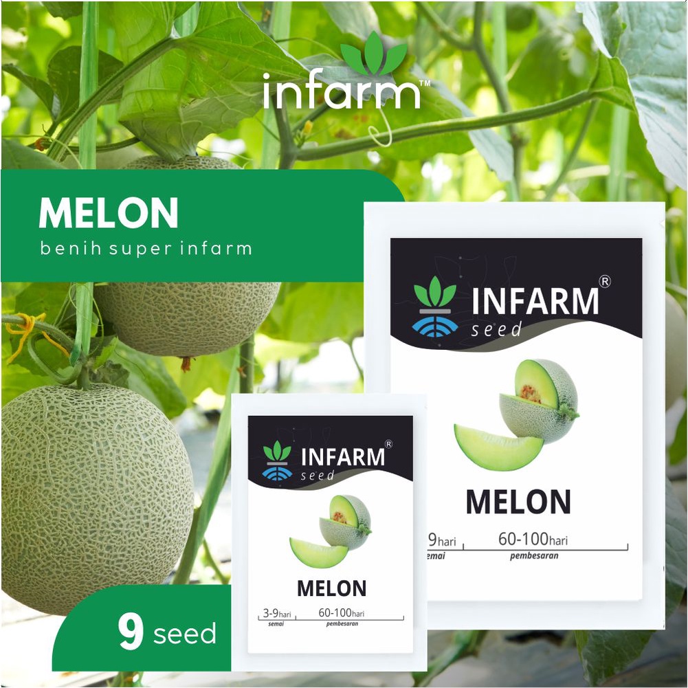 Jual INFARM Benih Bibit Biji Super Buah Melon Indonesia Shopee Indonesia