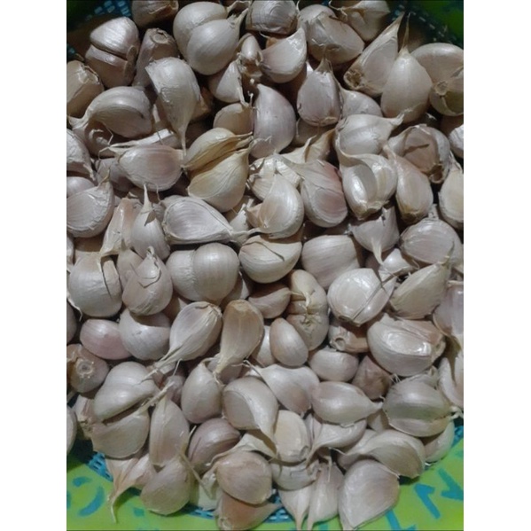 Jual Bawang Putih Kating Super Murah G Kg Shopee Indonesia