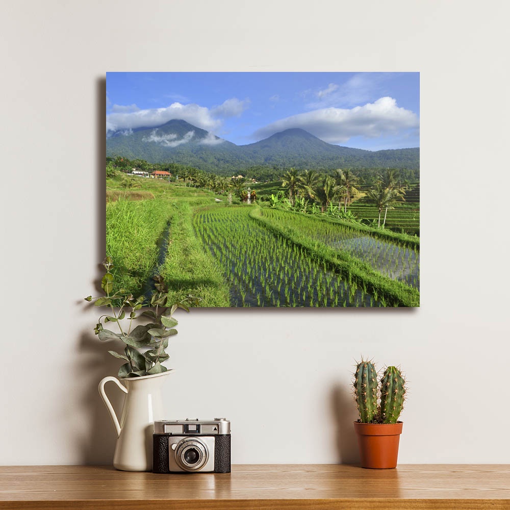 Jual Poster Pemandangan Alam Sawah Gunung Desa Pedesaan Shopee Indonesia