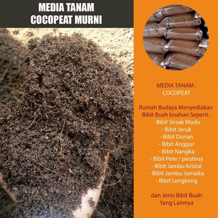 Jual Cocopeat Sabut Kelapa Murni Media Tanam Media Cangkok Dll 1 Kg