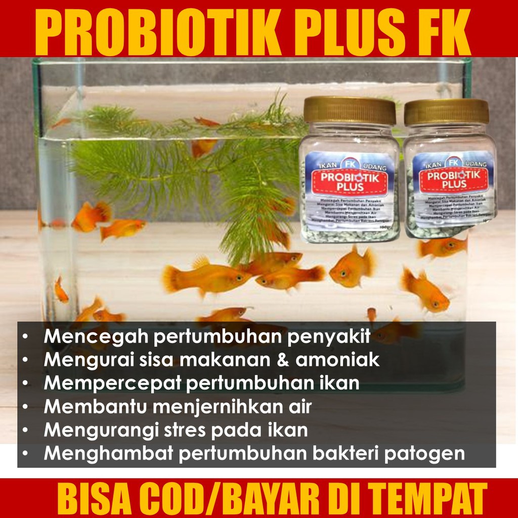 Jual Promo Probiotik Ikan Hias Ikan Hias Sehat Dan Tidak Stress Anti