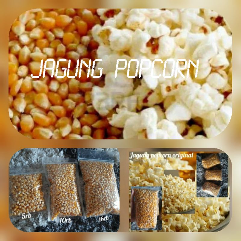 Jual Biji Jagung Popcorn Kualitas Premium Shopee Indonesia