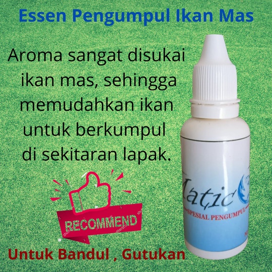 Jual Essen Pengumpul Ikan Mas Atau Essen Gutukan Essen Bom Ikan Mas