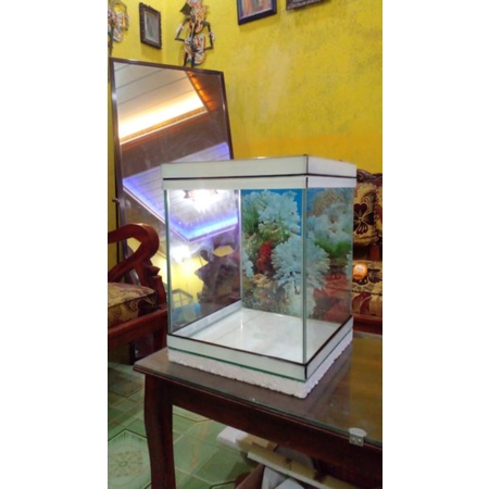 Jual Aquarium 30x30x40 Kaca Asahi Shopee Indonesia