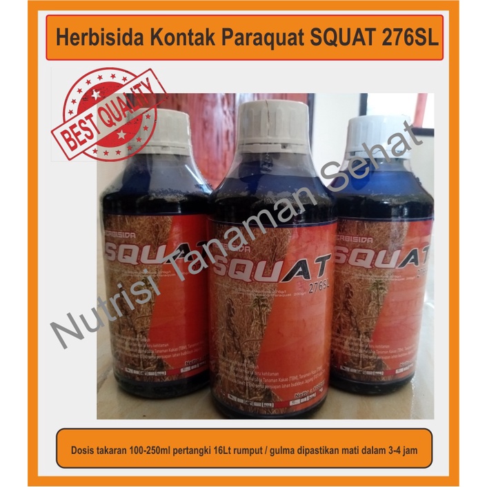 Jual Herbisida Kontak Langsung Kering Squat Ml Paraquat Di Klorida