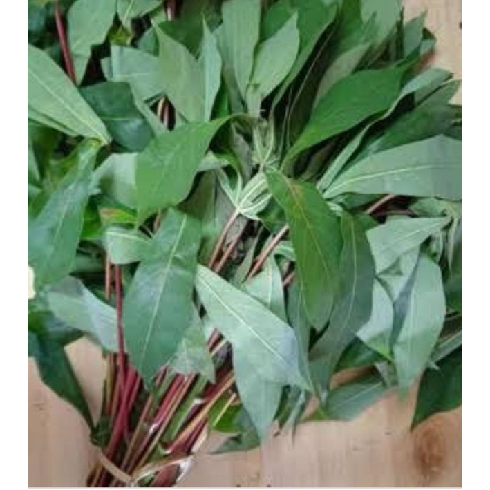 Jual Daun Singkong Segar By Surga Kebutuhan Ku Shopee Indonesia