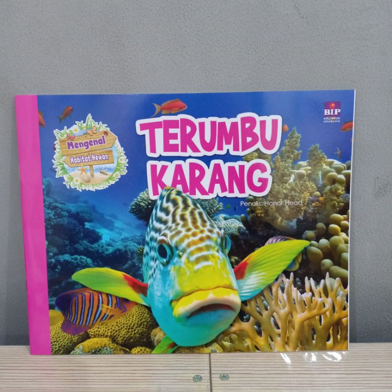 Jual Buku Seri Mengenal Habitat Hewan Terumbu Karang Shopee Indonesia